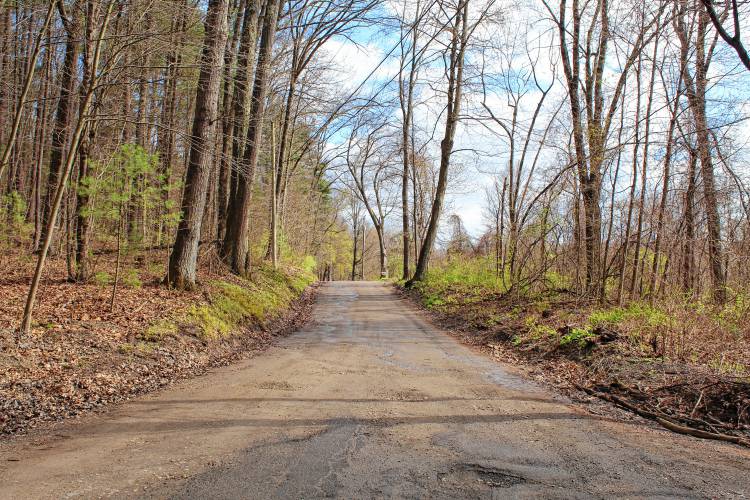 The view of Steam Mill Road in Deerfield just before 34 Steam Mill Road, where it turns from a paved road into a dirt one.