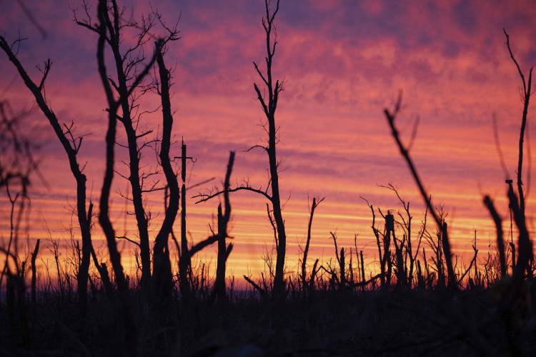 Tree skeletons are seen against the background of sunrise on the front-line near Klishchyivka, Donetsk region, Ukraine, Monday, March 18, 2024.