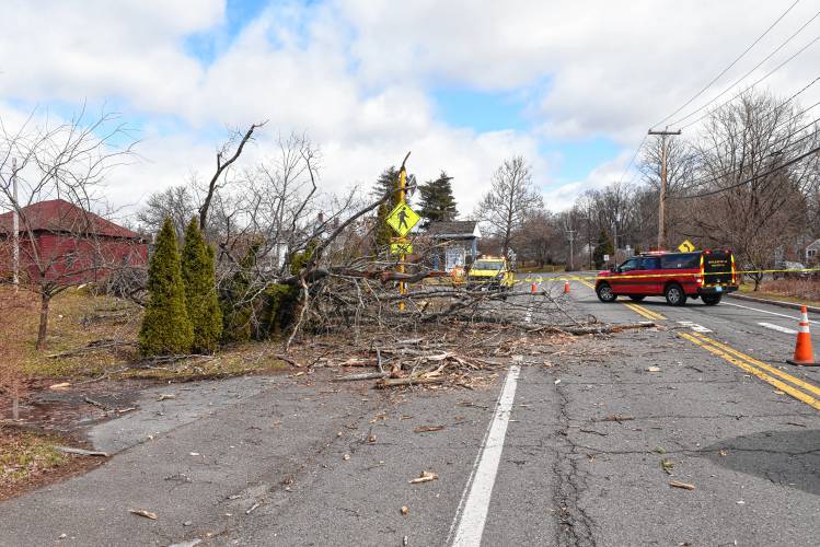 Monday’s high winds knocked down this tree, which took wires down with it on Bernardston Road near Stoneleigh-Burnham School in Greenfield. The road was closed for a period of time.