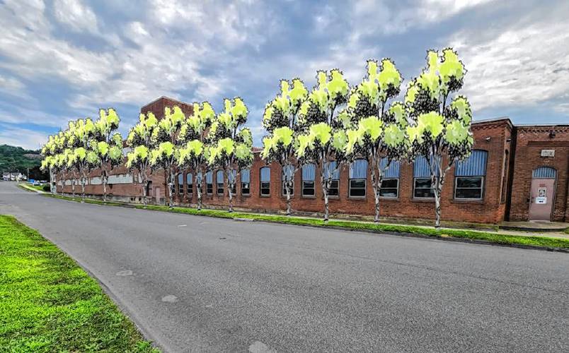 A rendering depicting the proposed planting of trees on Sanderson Street from Greenfield’s recent Cool Corridors grant application.