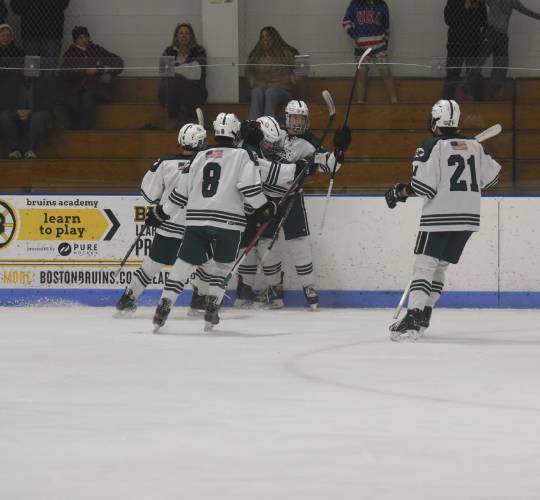 Greenfield celebrates after Brady Booska’s first period goal against Westfield on Wednesday at Collins-Moylan Arena. 