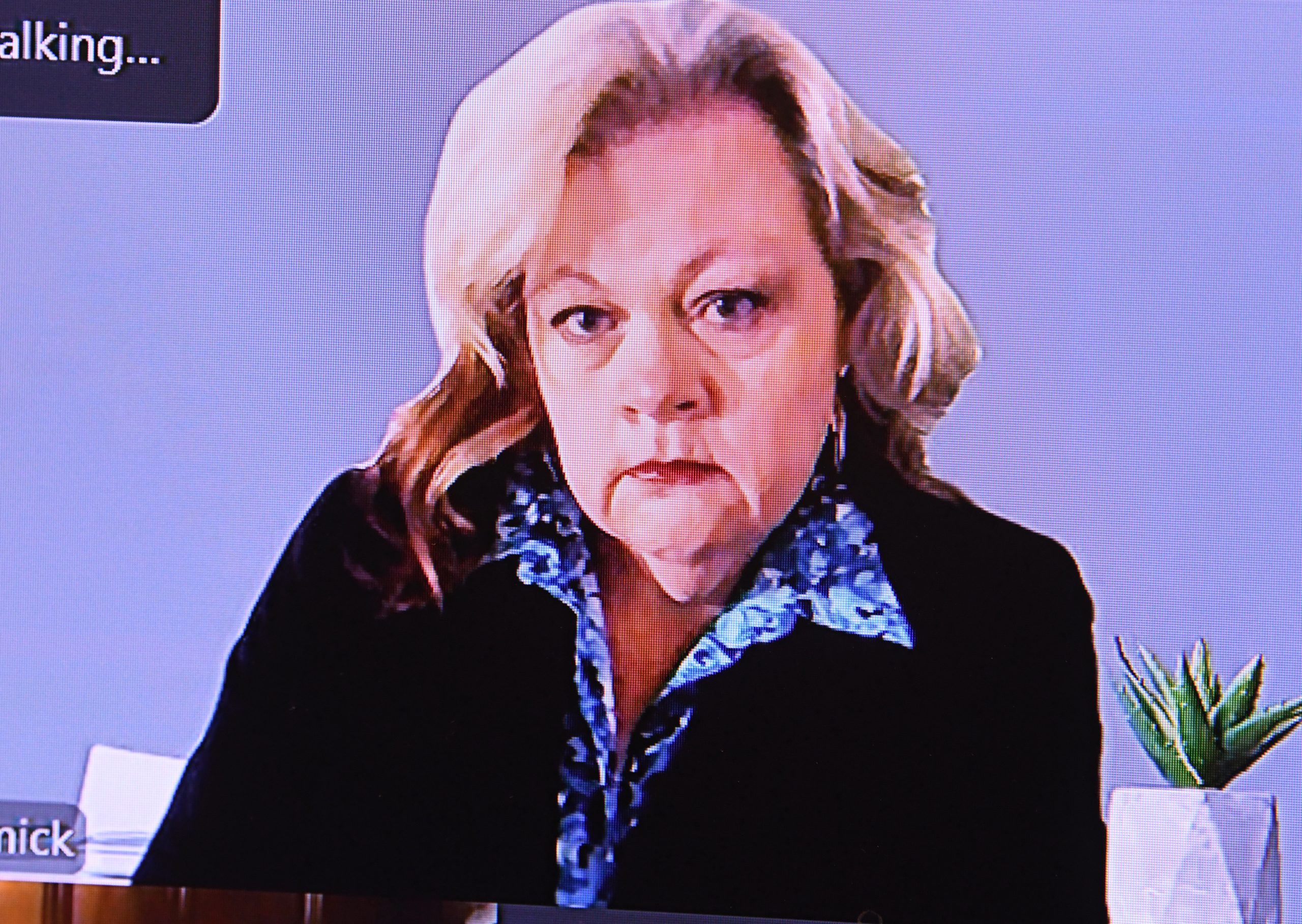 Orange fraud suspect appears remotely in court