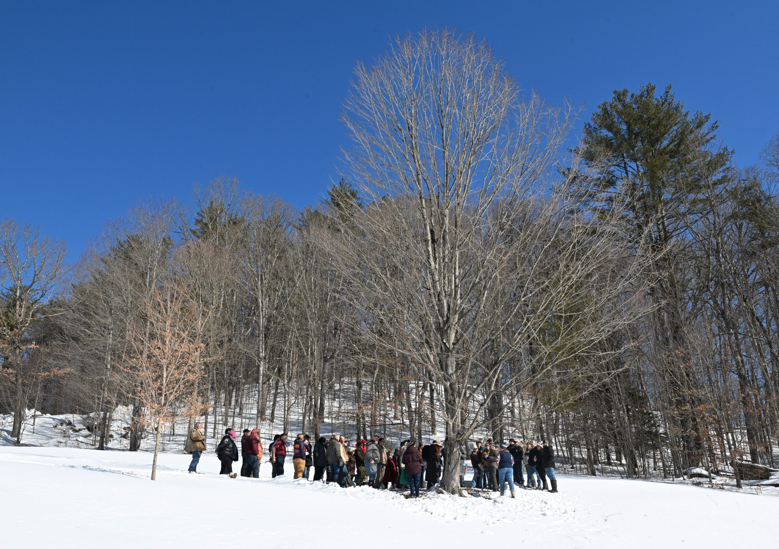 Prepping for ‘spring’s awakening’: Massachusetts Maple Month kicks off at Winston’s Sugar House