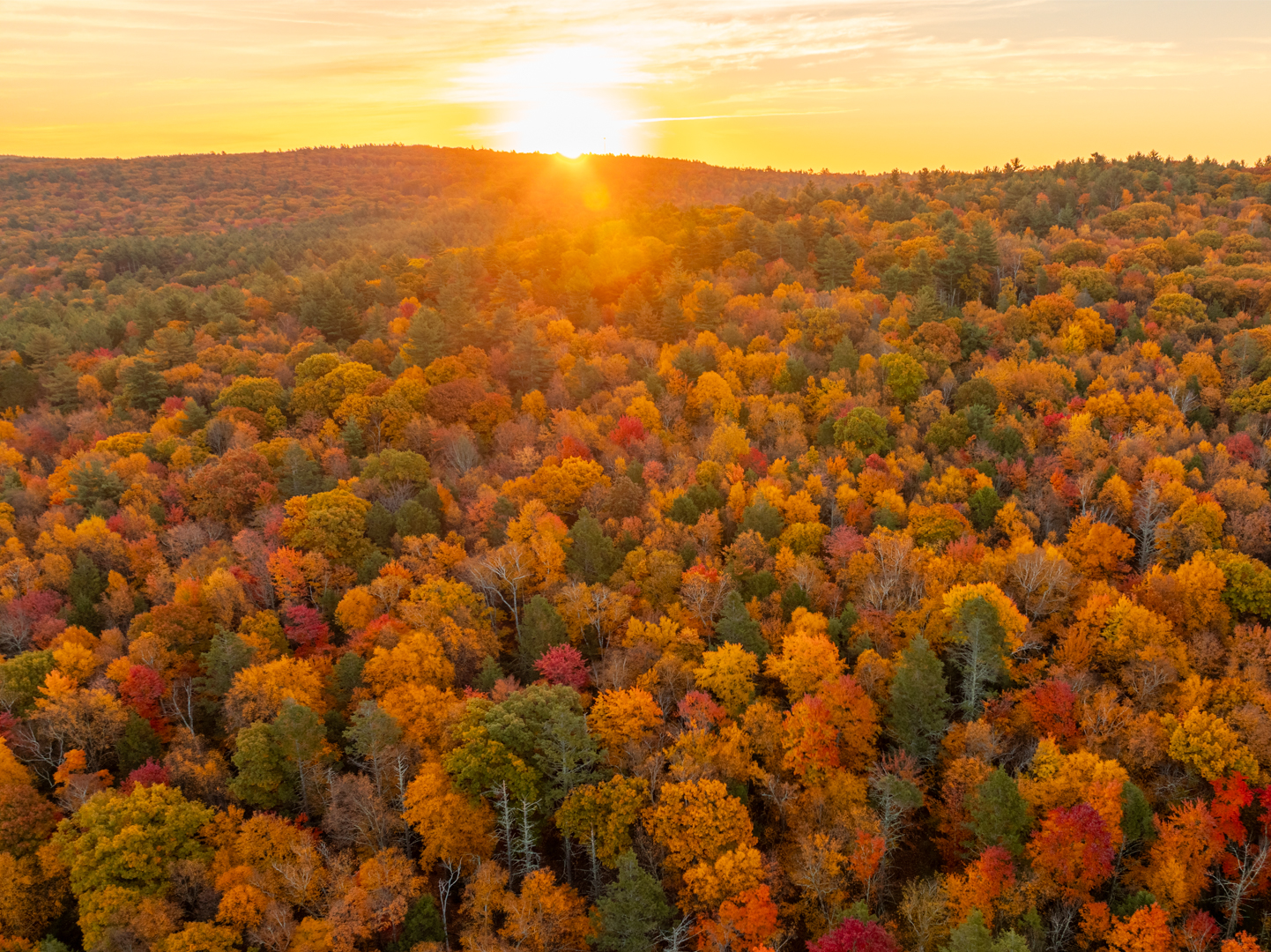 Pioneer Valley land trusts back state ballot measure to fund conservation - Greenfield Recorder